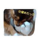 ないとすたんぷ（個別スタンプ：4）
