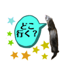 ふぇれはむず9（個別スタンプ：1）