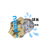ふぇれはむず9（個別スタンプ：2）
