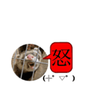 ふぇれはむず9（個別スタンプ：5）