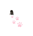ふぇれはむず9（個別スタンプ：8）