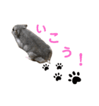 ふぇれはむず9（個別スタンプ：9）