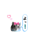 ふぇれはむず9（個別スタンプ：15）