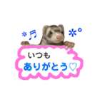 ふぇれはむず9（個別スタンプ：17）