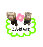 ふぇれはむず9（個別スタンプ：19）