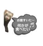 ふぇれはむず9（個別スタンプ：20）