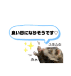 ふぇれはむず9（個別スタンプ：23）