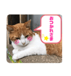 チャッピースタンプ♩（個別スタンプ：15）
