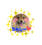 茶太ンプ2（個別スタンプ：2）