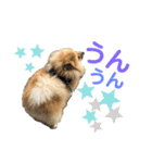 茶太ンプ2（個別スタンプ：3）
