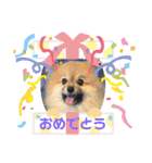 茶太ンプ2（個別スタンプ：4）