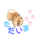 茶太ンプ2（個別スタンプ：6）