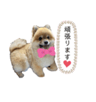 茶太ンプ2（個別スタンプ：7）