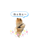 茶太ンプ2（個別スタンプ：9）
