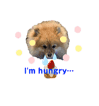 茶太ンプ2（個別スタンプ：10）