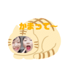 まみおスタンプ ②（個別スタンプ：4）