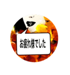 丁寧語のお茶目なマダム（個別スタンプ：22）
