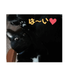 nagisa6（個別スタンプ：4）