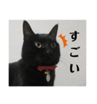 nagisa6（個別スタンプ：6）