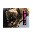 てつの日常生活4（個別スタンプ：4）