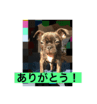 てつの日常生活4（個別スタンプ：5）