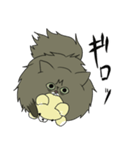 あしのみじかいねこ まめぞう スタンプ（個別スタンプ：8）