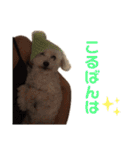 ぽんのの2（個別スタンプ：5）