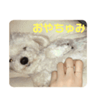 ぽんのの2（個別スタンプ：9）