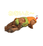 ぽんのの2（個別スタンプ：20）