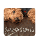 ぽんのの2（個別スタンプ：23）