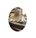 ぽんのの2（個別スタンプ：26）