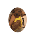 ぽんのの2（個別スタンプ：28）
