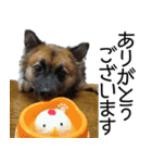 しろくつしたの はな（個別スタンプ：3）