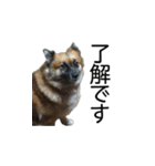 しろくつしたの はな（個別スタンプ：4）