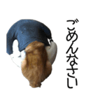 しろくつしたの はな（個別スタンプ：7）