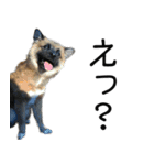 しろくつしたの はな（個別スタンプ：13）