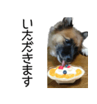 しろくつしたの はな（個別スタンプ：14）