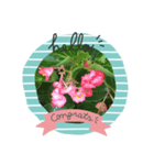 咲かせよう心の花 8月（個別スタンプ：4）