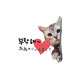우미♡（個別スタンプ：7）