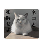 永遠のネコ。（個別スタンプ：14）