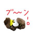 たぬたぬスタンプー（個別スタンプ：4）