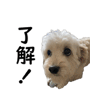 マルックスタンプ2（個別スタンプ：1）