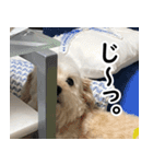 マルックスタンプ2（個別スタンプ：5）