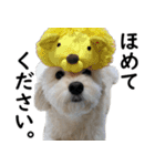 マルックスタンプ2（個別スタンプ：6）