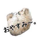 マルックスタンプ2（個別スタンプ：14）
