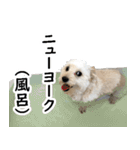 マルックスタンプ2（個別スタンプ：17）