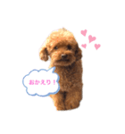 ☆ジジの日常☆（個別スタンプ：1）