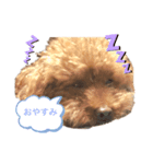 ☆ジジの日常☆（個別スタンプ：2）