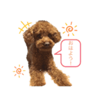 ☆ジジの日常☆（個別スタンプ：3）