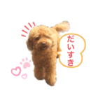 ☆ジジの日常☆（個別スタンプ：4）
